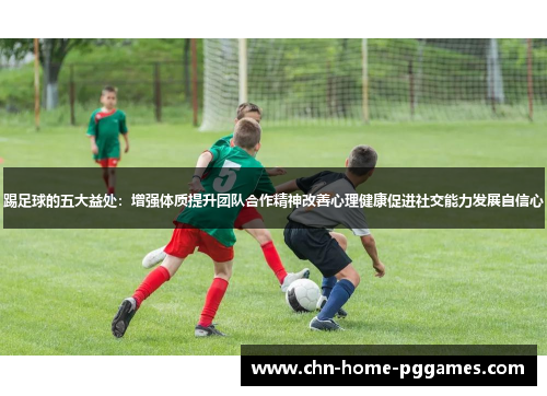 踢足球的五大益处：增强体质提升团队合作精神改善心理健康促进社交能力发展自信心