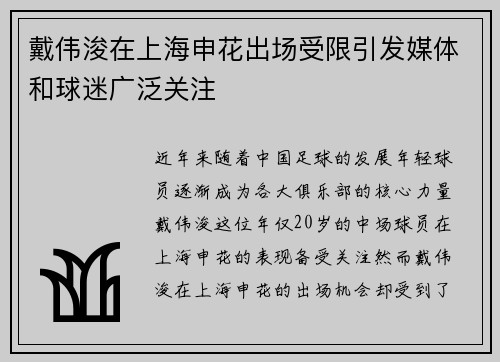 戴伟浚在上海申花出场受限引发媒体和球迷广泛关注